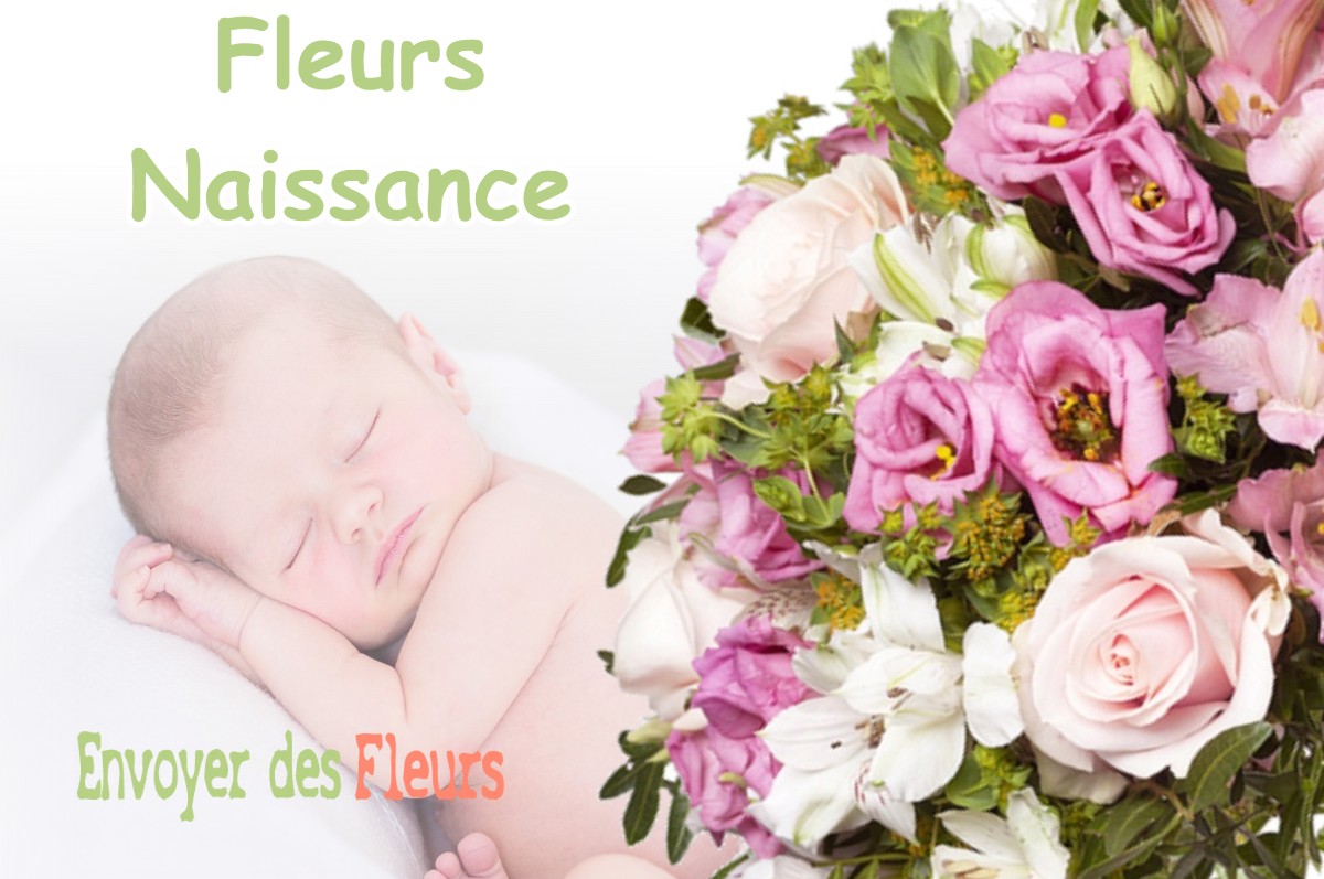 lIVRAISON FLEURS NAISSANCE à SAINT-JEAN-DE-MOIRANS